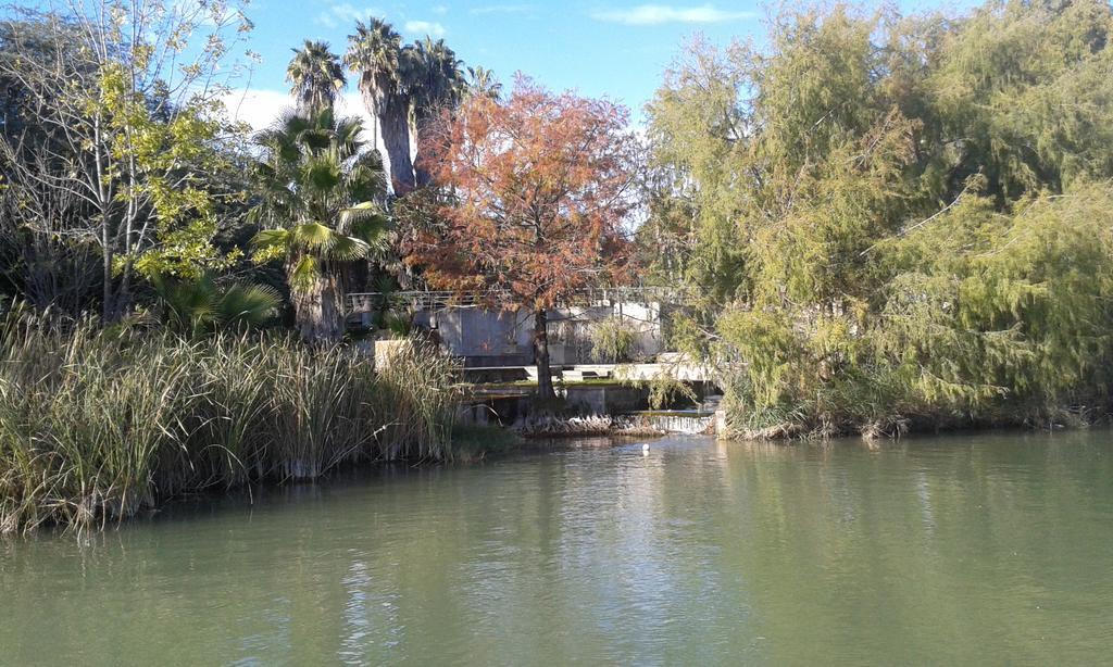 Apartamento Calle Goles セビリア 部屋 写真