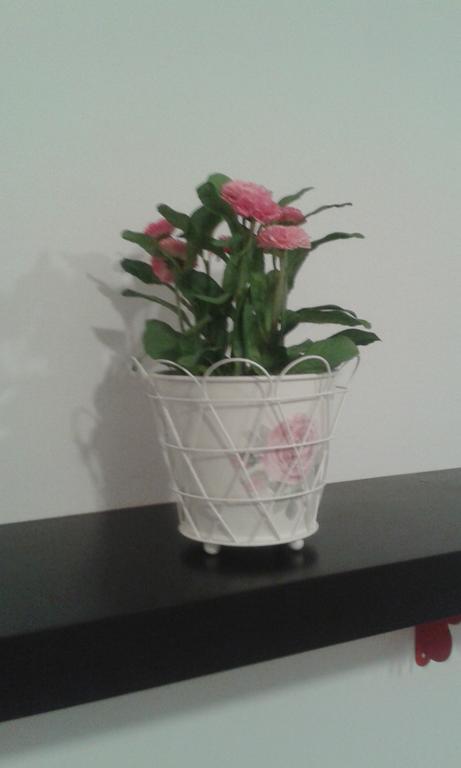 Apartamento Calle Goles セビリア 部屋 写真